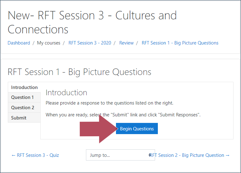 Example BPQ activity page, displaying the "Introduction" tab and instructions: 'Please provide a response to the questions listed on the right. When you are ready, select the "Submit" link and click "Submit Responses"', and with an arrow indicating the "Begin Questions" button