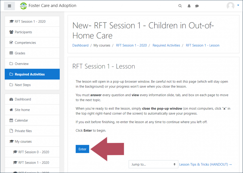 Example RFT Lesson activity page, with an arrow indicating the "Enter" button